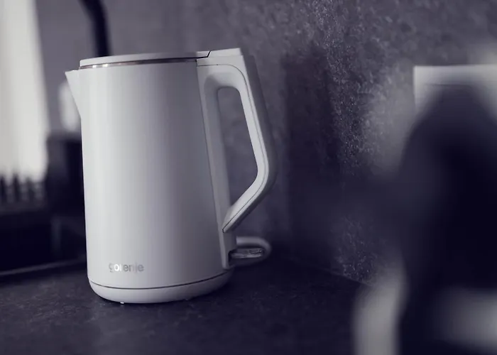 Leonart Living 41 公寓 格拉茨