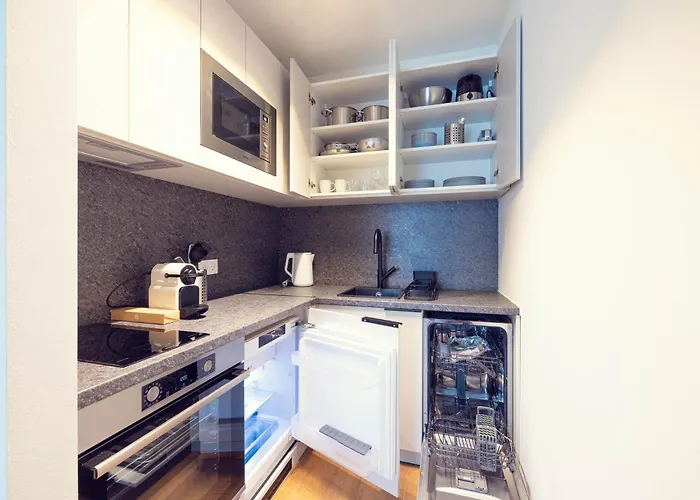 Leonart Living 41 公寓 *